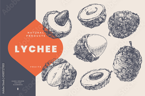 Hand drawn lychee. Dessert and exotic fruits, sliced and whole. Organic food concept. Can be used for your design. Vintage botanical illustration on a light isolated background.