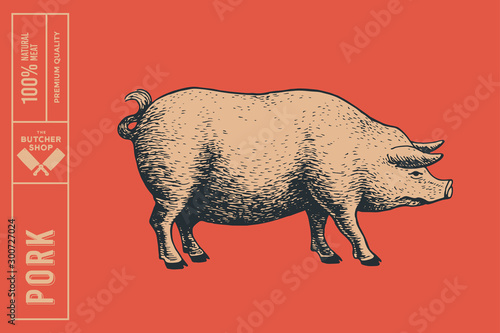 Retro graphic hand-drawn pig on red background. Engraving with farm animal for menu restaurants, for packaging in markets and shops. Vector vintage illustrations.