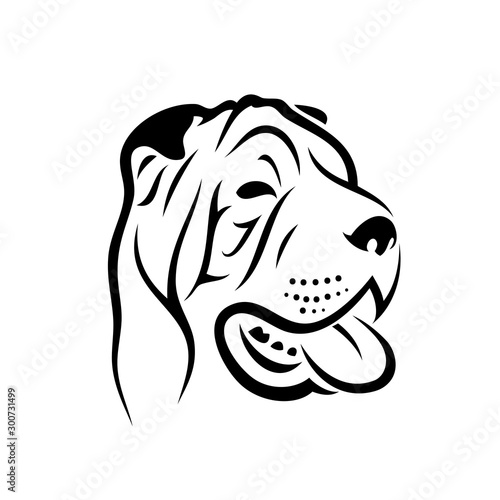 Foto Shar Pei dog - isolated vector illustration
