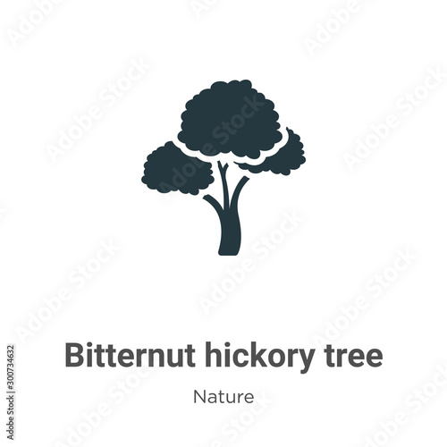 Bitternut hickory tree vector icon on white background. Flat vector bitternut hickory tree icon symbol sign from modern nature collection for mobile concept and web apps design.