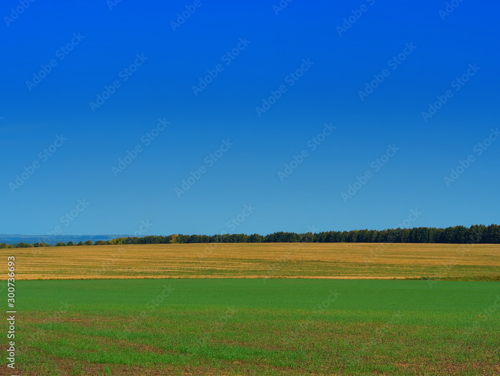 Dramatic autumn farm meadow landscape background