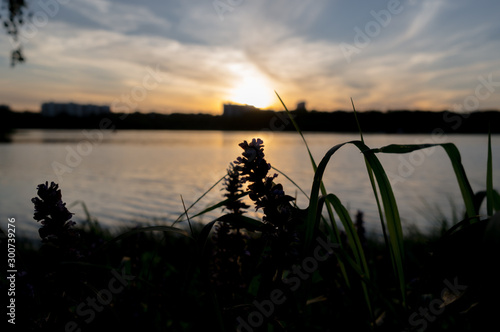 Moscow, Russia - October 31, 2019: Kashirskoe highway. Borisov ponds photo