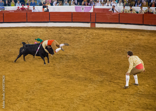  bullfight