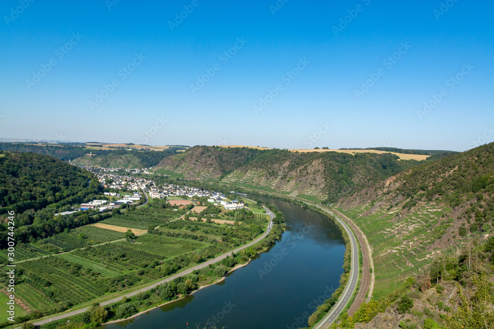Top view on Mosel river valley and green terraced vineyards, Germany, production of quality white and red wine, riesling