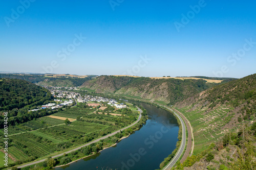 Top view on Mosel river valley and green terraced vineyards  Germany  production of quality white and red wine  riesling