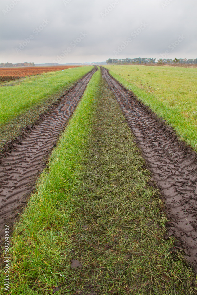 Tire tracks of heavy machinery in in grassland Tire tracks of heavy machinery in in grassland