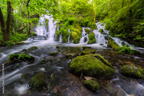 Fototapeta Naklejka Na Ścianę i Meble -  A waterfall in the forest