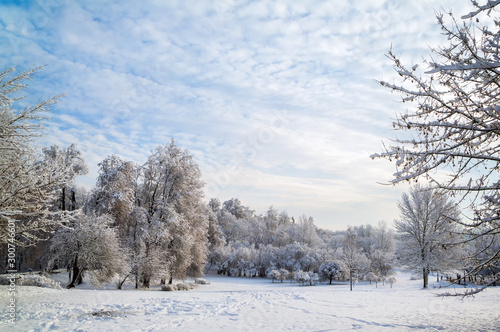 beautiful winter landscape © arcadi62