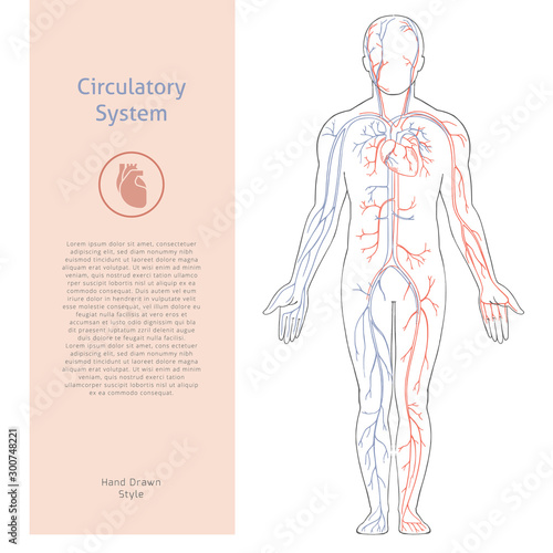 Vector banner template with human circulatory system drawn in retro style with background.