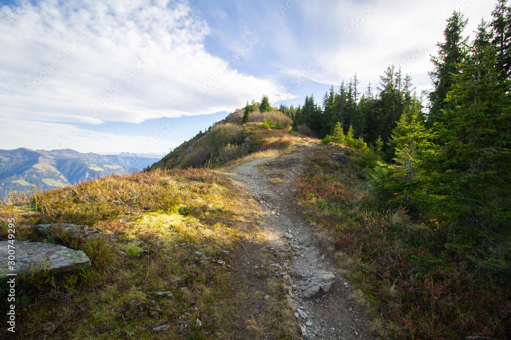 Hiking trail  in autumn fall season with colorful heather and water and green trees