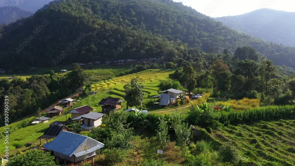 Aerial view morning scene of Pa Bong Piang paddy terraced rice fields with farm huts, Mae Chaem, Chiang Mai Thailand Aerial view morning scene of Pa Bong Piang paddy terraced rice fields with farm huts, Mae Chaem, Chiang Mai Thailand