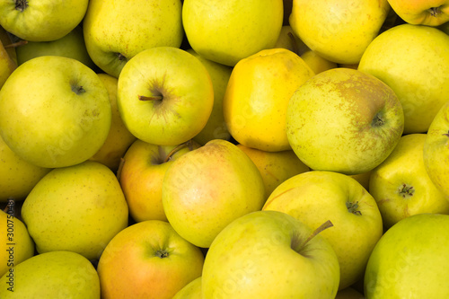 Yellow apples lie on a window of a market  store  supermarket