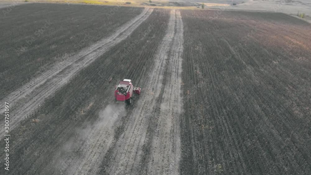 Aerial view combine harvesting on sunflower field. Mechanized harvesting sunflower. Large field of dry sunflower. Crop in the field on a sunny day. Autumn harvest. Aerial view combine harvesting on sunflower field. Mechanized harvesting sunflower. Large field of dry sunflower. Crop in the field on a sunny day. Autumn harvest.