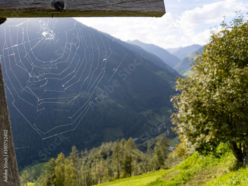 Spider web on wooden sign in mountain scenery