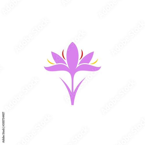 Crocus. Logo. Isolated saffron on white background © Aleksei_7799