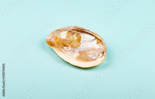 Natural Abalone Shell with Pearls
