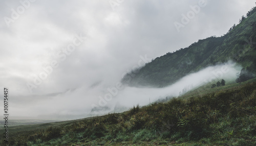 Fototapeta Naklejka Na Ścianę i Meble -  fog landscape