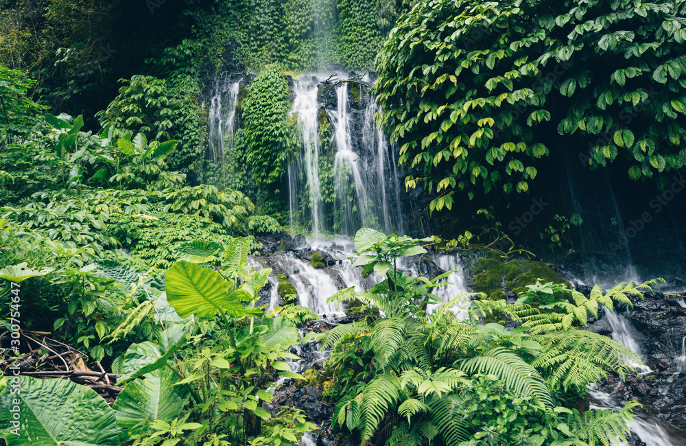 tropical freshness near jungle island waterfall