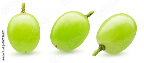 Obraz na płótnie collection of green single grapes isolated on a white background