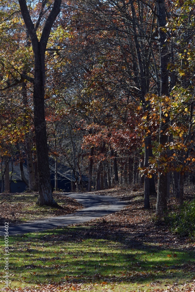 Walking path with Autumn trees