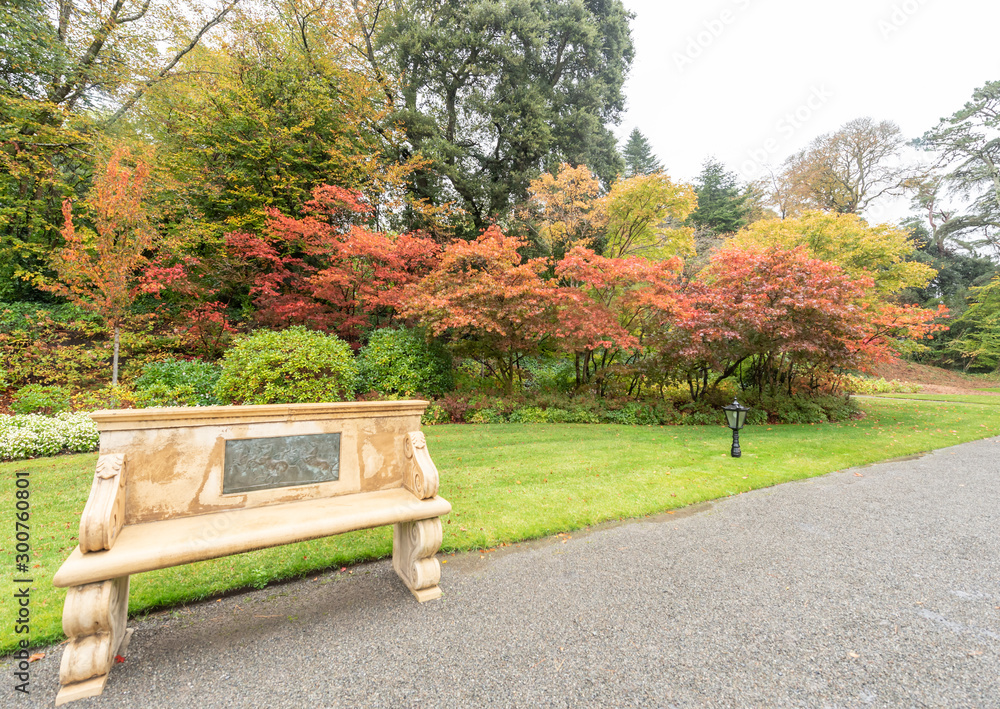 Fototapeta premium ashford castel garden in ireland