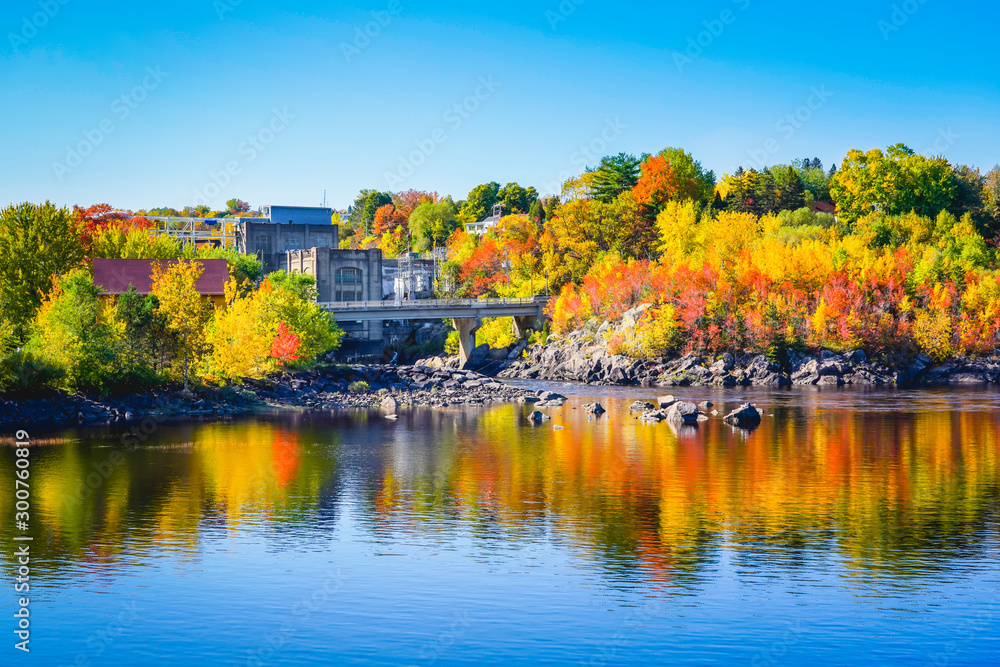 Fototapeta premium Autumn Landscape View of Color Trees with Dam on Lake in City Park