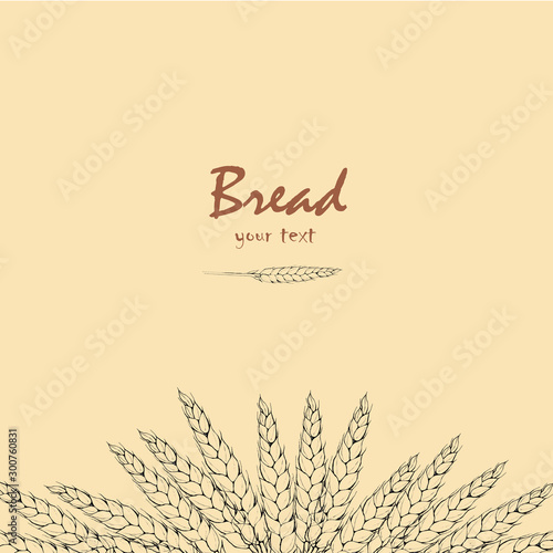  Drawn spikelets of wheat on a yellow background for printing and advertising bakery products