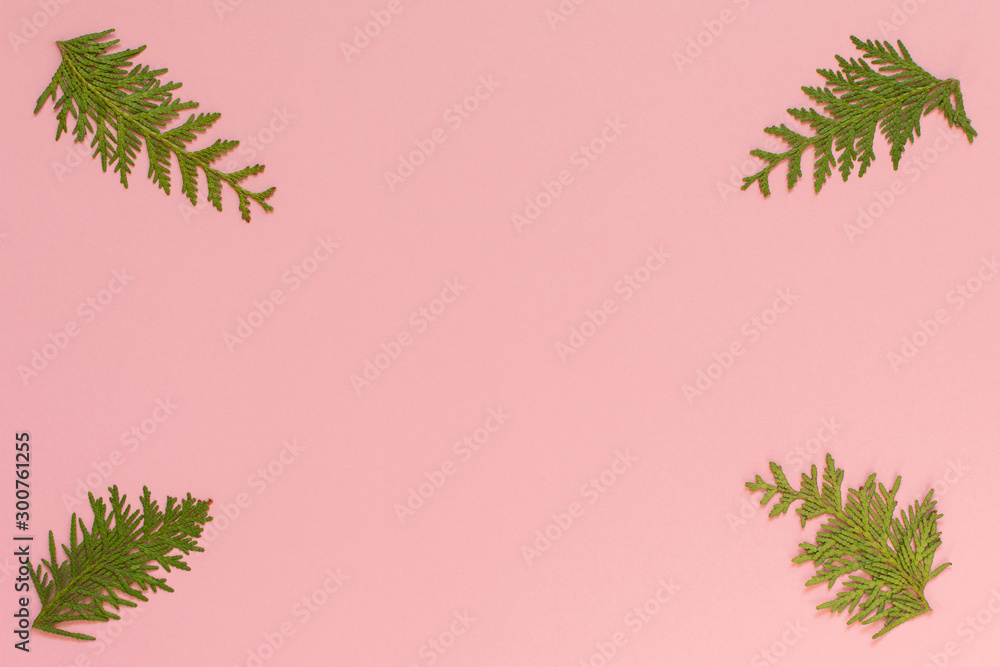 Festive christmas background, fir branches on pink background, flat lay, top view Festive christmas background, fir branches on pink background, flat lay, top view