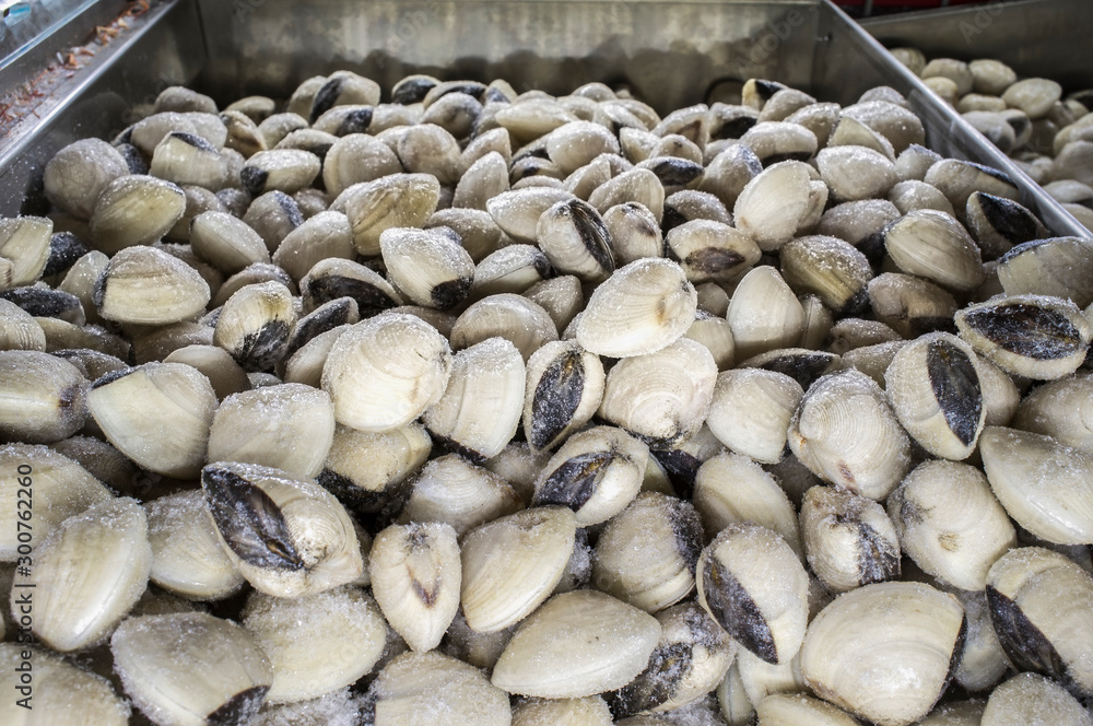 Asiatic hard clam at supermarket frozen food Stock Photo