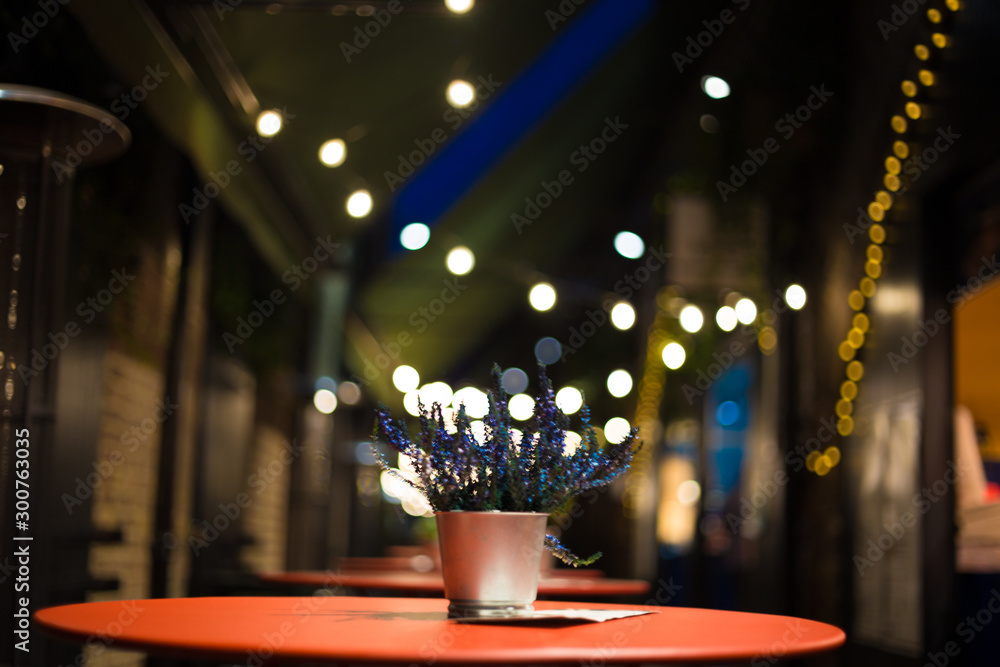 table in restaurant plant lights