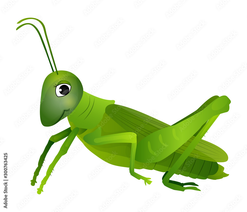 Cute cartoon grasshopper isolated on a white background. Vector illustration. Stock Vector | Adobe Stock Cute cartoon grasshopper isolated on a white background. Vector illustration. Stock Vector | Adobe Stock