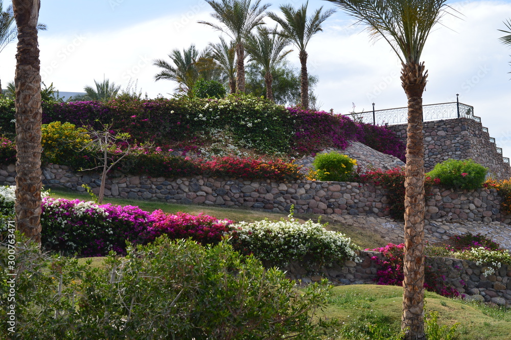 Naklejka premium garden with flowers