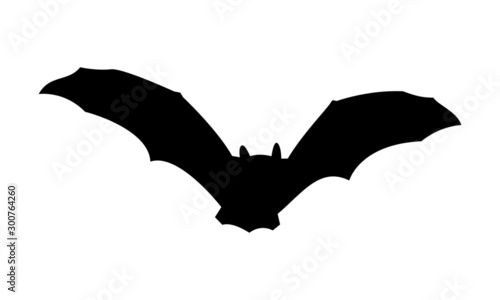 Fledermaus Silhouette