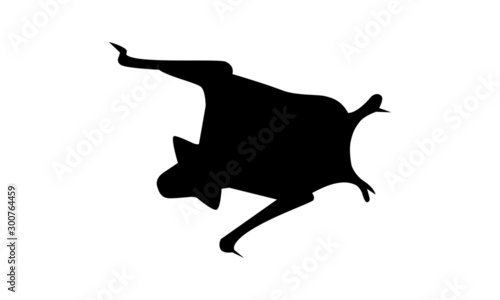 Fledermaus Silhouette