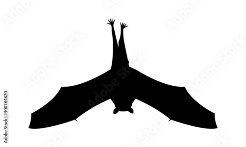 Fledermaus Silhouette