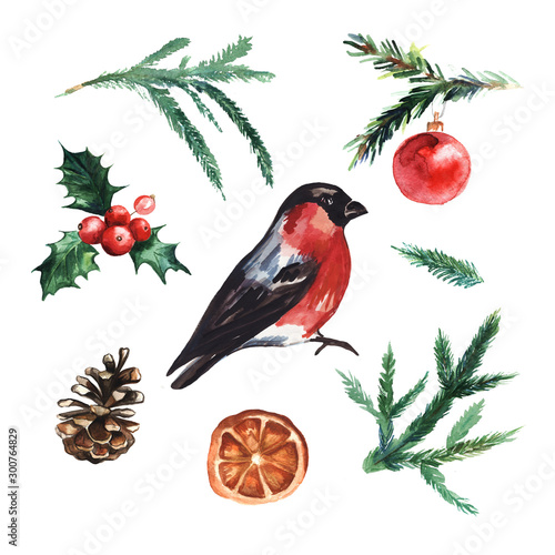 Watercolor Christmas elements set with christmas ball, pinecone, misletoe, bullfinch and branches of Christmas trees isolated on a white background. photo