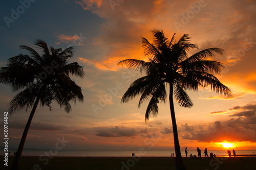Beautiful sunset with silhouette tree at beach