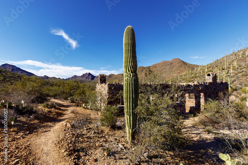 A Saguaro Cactus in front of the Bowen Stone House, Arizona photo