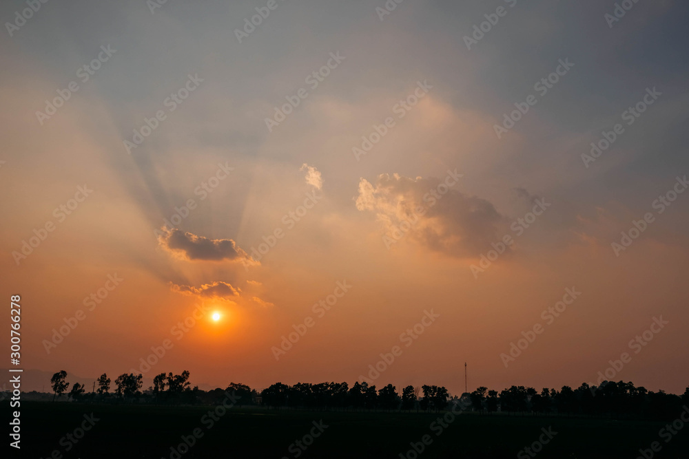 Fototapeta premium sunset over the field