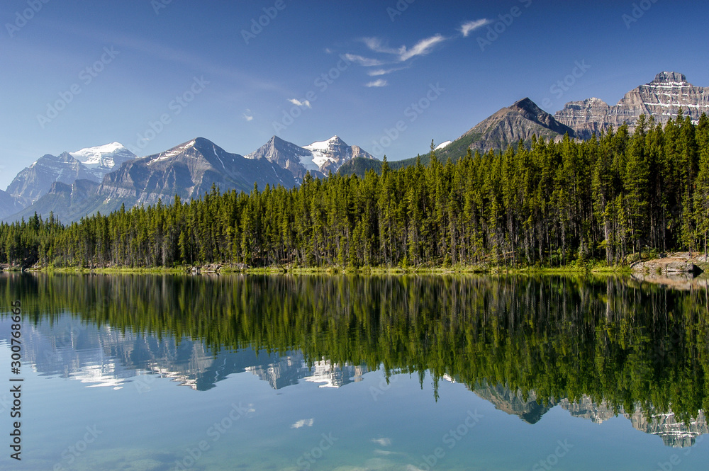 Herbert Lake reflecting forest and peaks in Banff National Park, Alberta, Canada