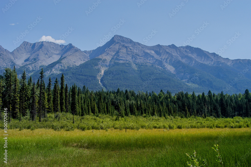 Mt. Harkin towering above lush green forest and meadows in Kootenay National Park, British Columbia, Canada