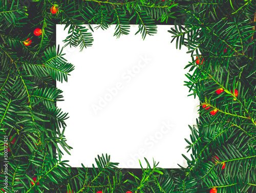 Creative layout made from Christmas tree and Nature New Year concept
