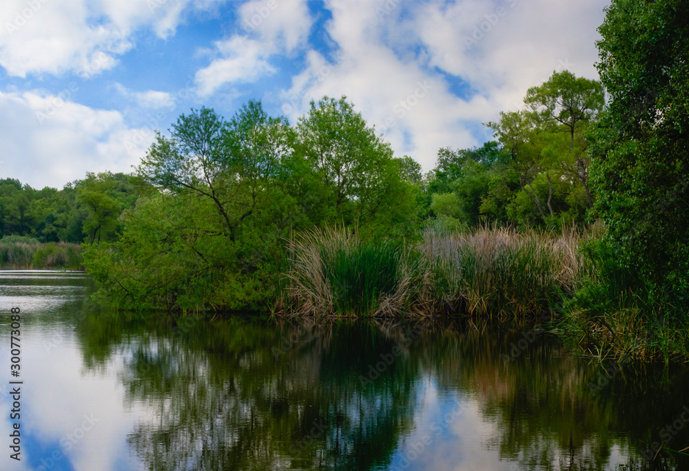 Along the lake