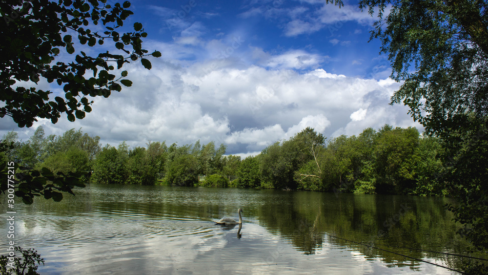 Fototapeta premium Spring by the Lake