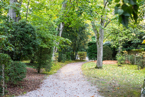 path in park