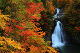 紅葉の法体の滝
