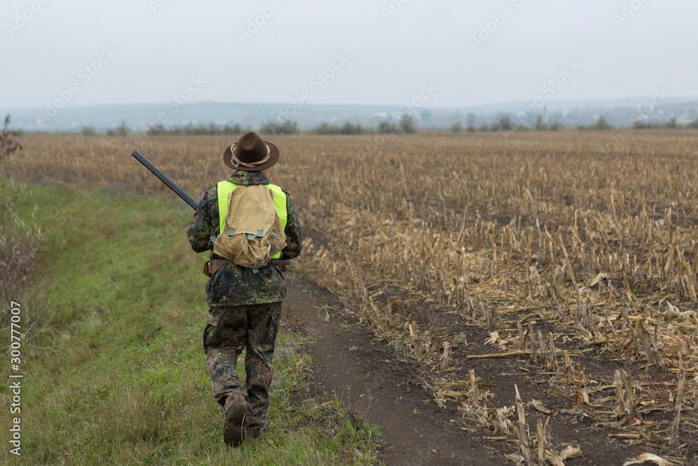 Hunting period, autumn season open. A hunter with a gun in his hands in hunting clothes in the autumn forest in search of a trophy. A man stands with weapons and hunting dogs tracking down the game. Hunting period, autumn season open. A hunter with a gun in his hands in hunting clothes in the autumn forest in search of a trophy. A man stands with weapons and hunting dogs tracking down the game.