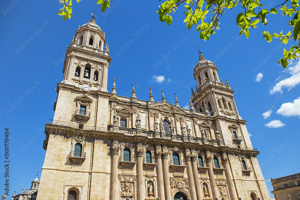 Cathedral of Jaen in the frame of green leaves, Andalusia, Spain