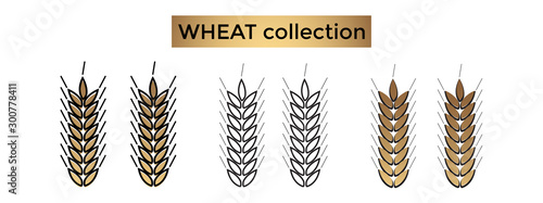 collection of wheat farm logos