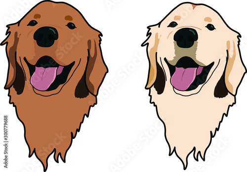 Golden retriever dog in two different colors head portrait cartoon beautiful dog